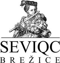 22.08.2019 Concert Seviqc Brežice Festival